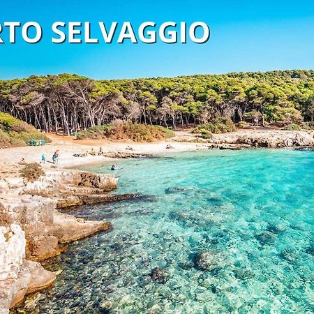 Casa Smeraldo al Mare a Sud di Porto Cesareo Torre Inserraglio Esterno foto